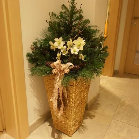 Macheiner Bed & Breakfast Mariapfarr