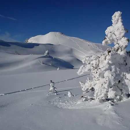 Macheiner Bed & Breakfast 3*