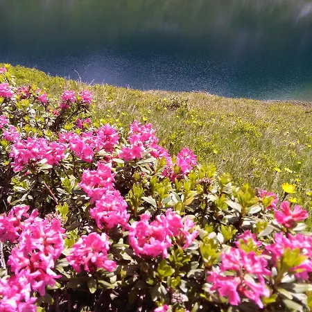 Bed & Breakfast Macheiner Mariapfarr